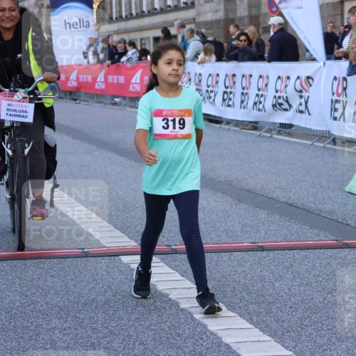 06.09.2026 - CURREX Alsterlauf Strokosch-Dieckow http://msf.ph/oto/10142460 06.09.2026 10:56:29 Ziel 319, 337, 8317 meine-sportfotos.de