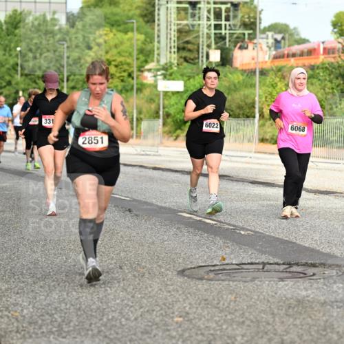 06.09.2026 - CURREX Alsterlauf Dr. Thomas Lammeyer http://msf.ph/oto/10142465 06.09.2026 10:12:05 Laufen 2010, 331, 2851, 6022, 6068 meine-sportfotos.de