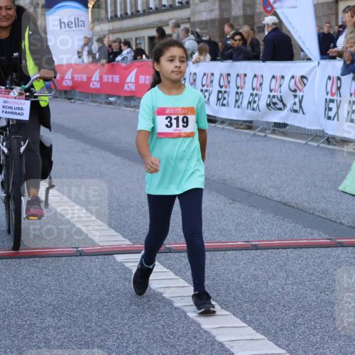 06.09.2026 - CURREX Alsterlauf Strokosch-Dieckow http://msf.ph/oto/10142466 06.09.2026 10:56:29 Ziel 319, 337, 8317 meine-sportfotos.de