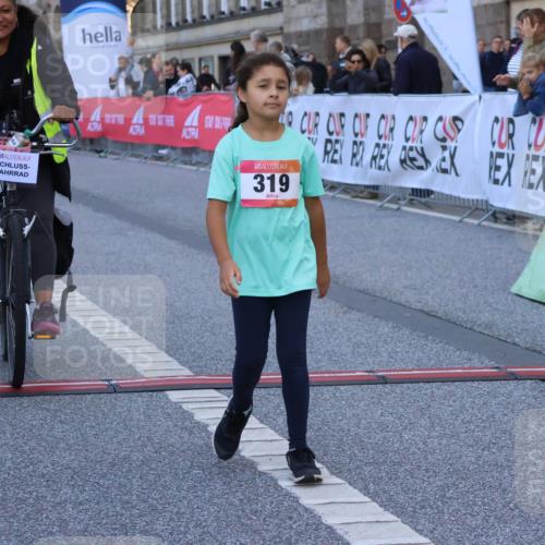 06.09.2026 - CURREX Alsterlauf Strokosch-Dieckow http://msf.ph/oto/10142471 06.09.2026 10:56:29 Ziel 319, 337, 8317 meine-sportfotos.de