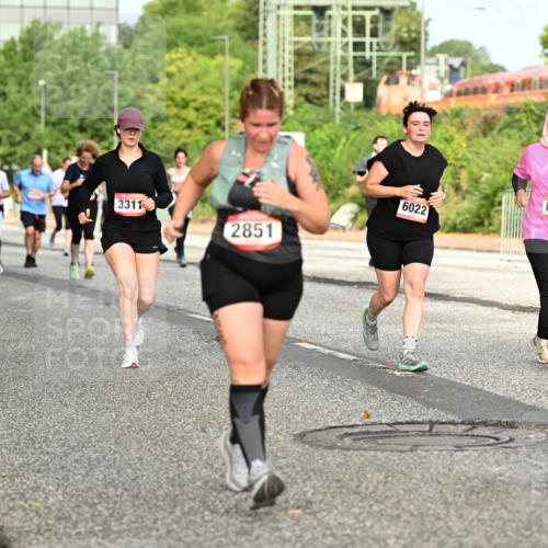 06.09.2026 - CURREX Alsterlauf Dr. Thomas Lammeyer http://msf.ph/oto/10142475 06.09.2026 10:12:06 Laufen 2610, 3311, 2851, 6022, 6068 meine-sportfotos.de