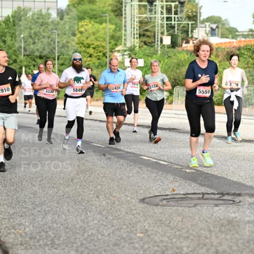 06.09.2026 - CURREX Alsterlauf Dr. Thomas Lammeyer http://msf.ph/oto/10142531 06.09.2026 10:12:12 Laufen 2810, 2910, 3330, 5849, 2431, 2432, 3, 9, 5559 meine-sportfotos.de