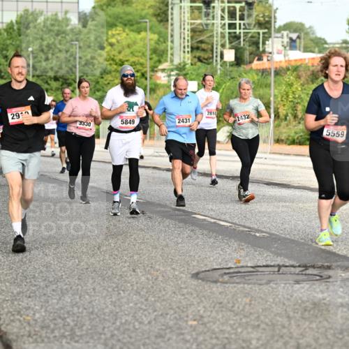 06.09.2026 - CURREX Alsterlauf Dr. Thomas Lammeyer http://msf.ph/oto/10142539 06.09.2026 10:12:12 Laufen 2910, 3330, 5849, 2431, 2810, 2432, 5559, 189 meine-sportfotos.de