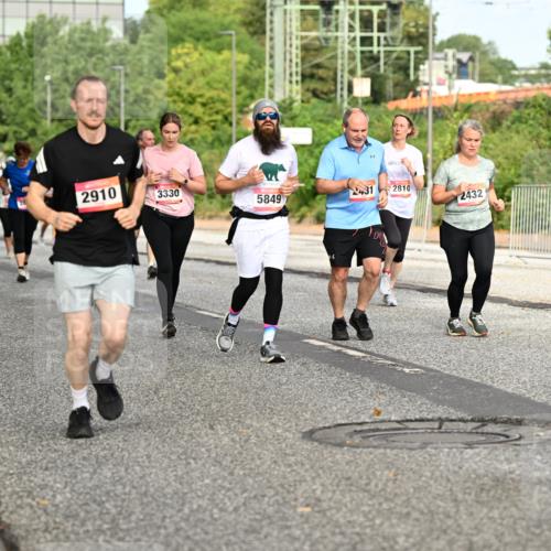 06.09.2026 - CURREX Alsterlauf Dr. Thomas Lammeyer http://msf.ph/oto/10142549 06.09.2026 10:12:13 Laufen 2880, 2910, 3330, 5849, 431, 2810, 2432 meine-sportfotos.de