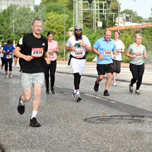 06.09.2026 - CURREX Alsterlauf Dr. Thomas Lammeyer http://msf.ph/oto/10142552 06.09.2026 10:12:14 Laufen 2887, 2910, 330, 5849, 2431, 10, 2432 meine-sportfotos.de