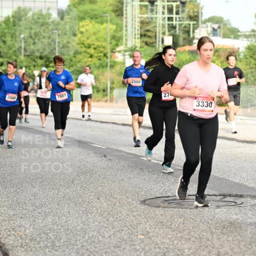 06.09.2026 - CURREX Alsterlauf Dr. Thomas Lammeyer http://msf.ph/oto/10142582 06.09.2026 10:12:17 Laufen 2880, 2887, 2888, 27, 3330, 6461, 5849 meine-sportfotos.de