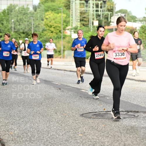06.09.2026 - CURREX Alsterlauf Dr. Thomas Lammeyer http://msf.ph/oto/10142583 06.09.2026 10:12:17 Laufen 2880, 2887, 2888, 2744, 3330, 584 meine-sportfotos.de
