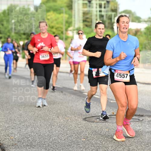 06.09.2026 - CURREX Alsterlauf Dr. Thomas Lammeyer http://msf.ph/oto/10142723 06.09.2026 10:12:31 Laufen 3633, 4557 meine-sportfotos.de