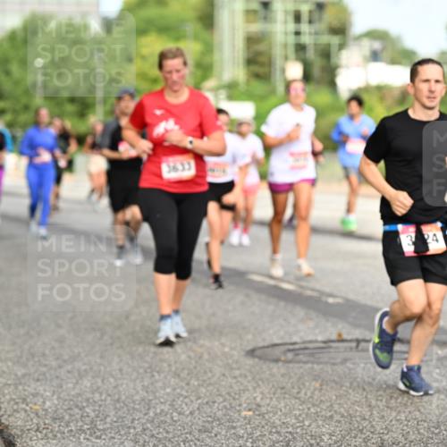 06.09.2026 - CURREX Alsterlauf Dr. Thomas Lammeyer http://msf.ph/oto/10142731 06.09.2026 10:12:32 Laufen 3633, 324, 4557 meine-sportfotos.de