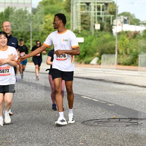 06.09.2026 - CURREX Alsterlauf Dr. Thomas Lammeyer http://msf.ph/oto/10142799 06.09.2026 10:12:44 Laufen 5872, 139, 5876 meine-sportfotos.de