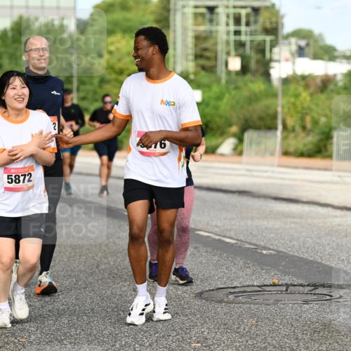 06.09.2026 - CURREX Alsterlauf Dr. Thomas Lammeyer http://msf.ph/oto/10142807 06.09.2026 10:12:45 Laufen 20, 5872, 76 meine-sportfotos.de