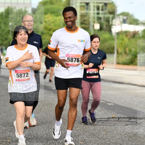 06.09.2026 - CURREX Alsterlauf Dr. Thomas Lammeyer http://msf.ph/oto/10142811 06.09.2026 10:12:46 Laufen 5872, 5876, 6262 meine-sportfotos.de