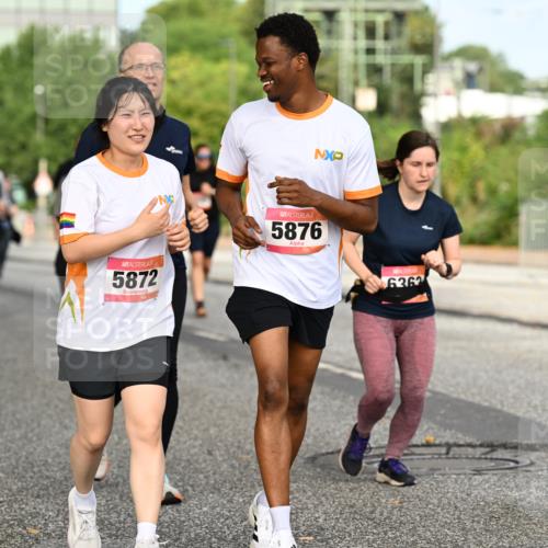 06.09.2026 - CURREX Alsterlauf Dr. Thomas Lammeyer http://msf.ph/oto/10142813 06.09.2026 10:12:46 Laufen 5872, 5876, 6362 meine-sportfotos.de