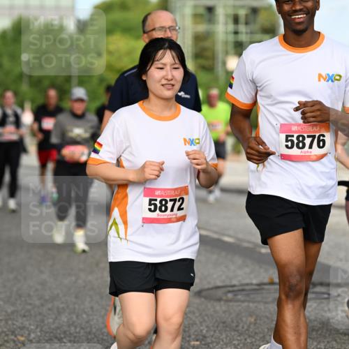 06.09.2026 - CURREX Alsterlauf Dr. Thomas Lammeyer http://msf.ph/oto/10142822 06.09.2026 10:12:47 Laufen 5872, 5876, 6363 meine-sportfotos.de