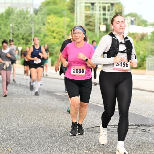 06.09.2026 - CURREX Alsterlauf Dr. Thomas Lammeyer http://msf.ph/oto/10142876 06.09.2026 10:12:53 Laufen 2688, 3496 meine-sportfotos.de