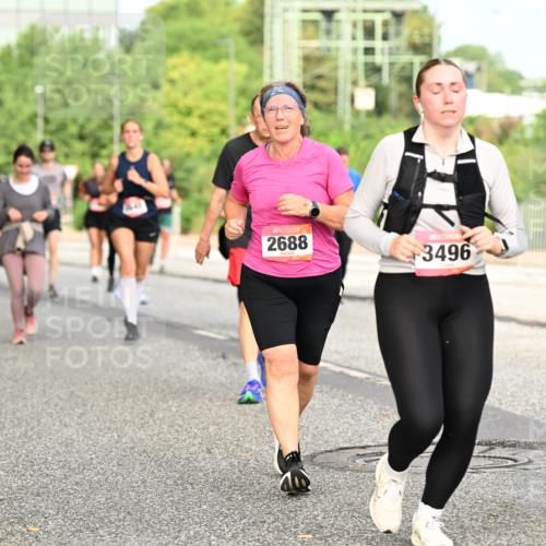 06.09.2026 - CURREX Alsterlauf Dr. Thomas Lammeyer http://msf.ph/oto/10142877 06.09.2026 10:12:53 Laufen 2688, 3496 meine-sportfotos.de