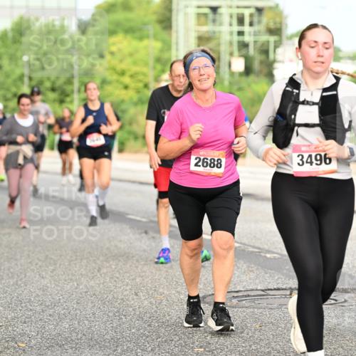 06.09.2026 - CURREX Alsterlauf Dr. Thomas Lammeyer http://msf.ph/oto/10142880 06.09.2026 10:12:53 Laufen 2688, 3496 meine-sportfotos.de