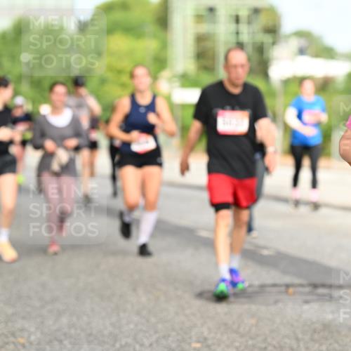 06.09.2026 - CURREX Alsterlauf Dr. Thomas Lammeyer http://msf.ph/oto/10142899 06.09.2026 10:12:55 Laufen 268 meine-sportfotos.de
