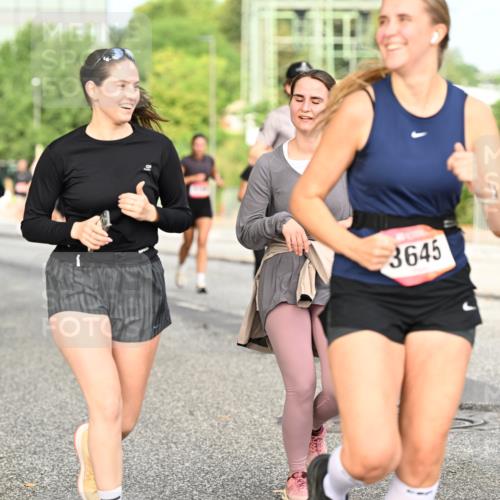 06.09.2026 - CURREX Alsterlauf Dr. Thomas Lammeyer http://msf.ph/oto/10142925 06.09.2026 10:12:57 Laufen 3645 meine-sportfotos.de