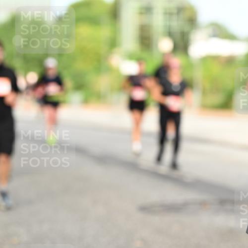 06.09.2026 - CURREX Alsterlauf Dr. Thomas Lammeyer http://msf.ph/oto/10142941 06.09.2026 10:12:59 Laufen  meine-sportfotos.de