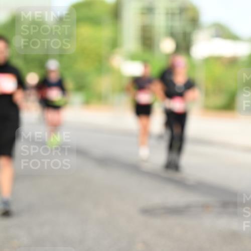 06.09.2026 - CURREX Alsterlauf Dr. Thomas Lammeyer http://msf.ph/oto/10142942 06.09.2026 10:12:59 Laufen  meine-sportfotos.de