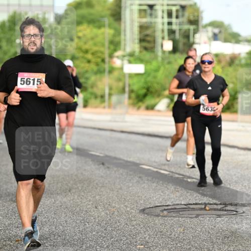 06.09.2026 - CURREX Alsterlauf Dr. Thomas Lammeyer http://msf.ph/oto/10142950 06.09.2026 10:13:00 Laufen 5615, 5635 meine-sportfotos.de