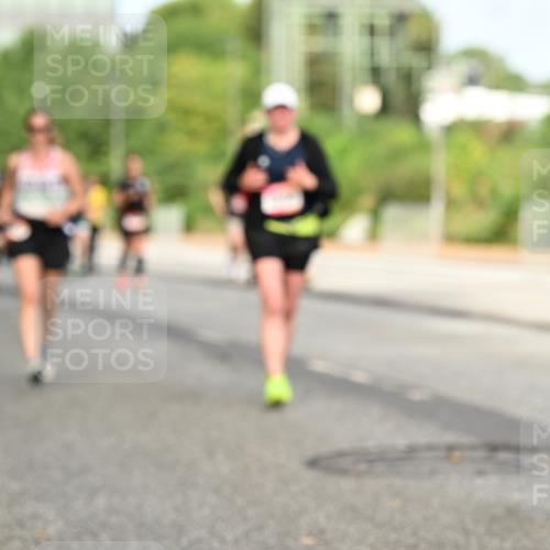 06.09.2026 - CURREX Alsterlauf Dr. Thomas Lammeyer http://msf.ph/oto/10142989 06.09.2026 10:13:04 Laufen  meine-sportfotos.de