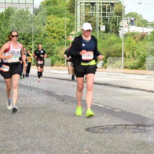 06.09.2026 - CURREX Alsterlauf Dr. Thomas Lammeyer http://msf.ph/oto/10142991 06.09.2026 10:13:05 Laufen 2911, 4915, 5082, 1183, 2368, 5560 meine-sportfotos.de
