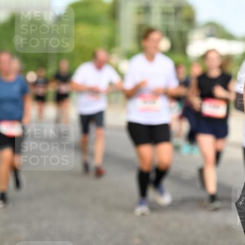06.09.2026 - CURREX Alsterlauf Dr. Thomas Lammeyer http://msf.ph/oto/10143068 06.09.2026 10:13:12 Laufen  meine-sportfotos.de