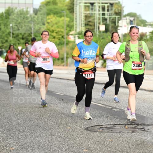06.09.2026 - CURREX Alsterlauf Dr. Thomas Lammeyer http://msf.ph/oto/10143166 06.09.2026 10:13:23 Laufen 3823, 3117, 2462 meine-sportfotos.de