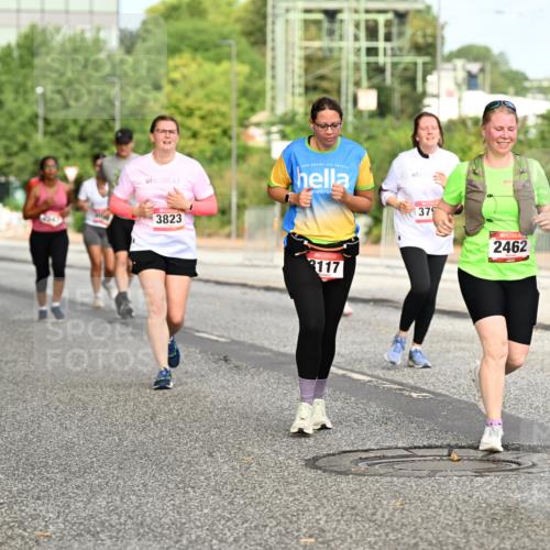 06.09.2026 - CURREX Alsterlauf Dr. Thomas Lammeyer http://msf.ph/oto/10143167 06.09.2026 10:13:23 Laufen 3823, 117, 379, 2462 meine-sportfotos.de