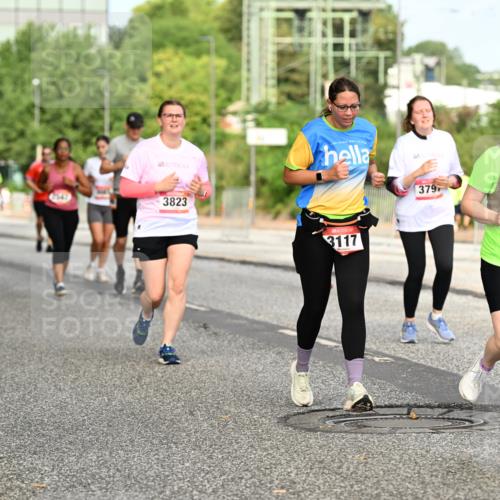 06.09.2026 - CURREX Alsterlauf Dr. Thomas Lammeyer http://msf.ph/oto/10143172 06.09.2026 10:13:24 Laufen 3823, 3117, 379, 2462 meine-sportfotos.de