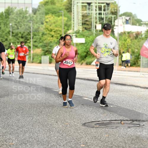 06.09.2026 - CURREX Alsterlauf Dr. Thomas Lammeyer http://msf.ph/oto/10143181 06.09.2026 10:13:27 Laufen 2795, 2547, 46, 3823 meine-sportfotos.de