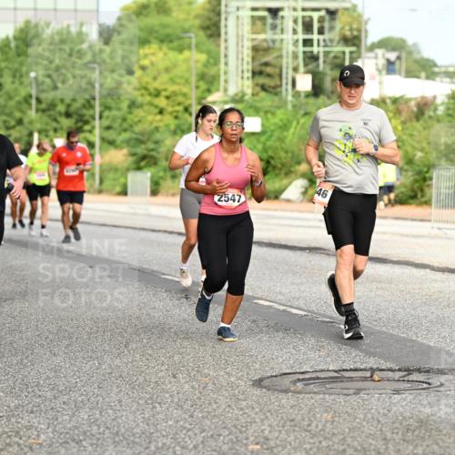 06.09.2026 - CURREX Alsterlauf Dr. Thomas Lammeyer http://msf.ph/oto/10143183 06.09.2026 10:13:27 Laufen 2795, 2547, 46, 10 meine-sportfotos.de