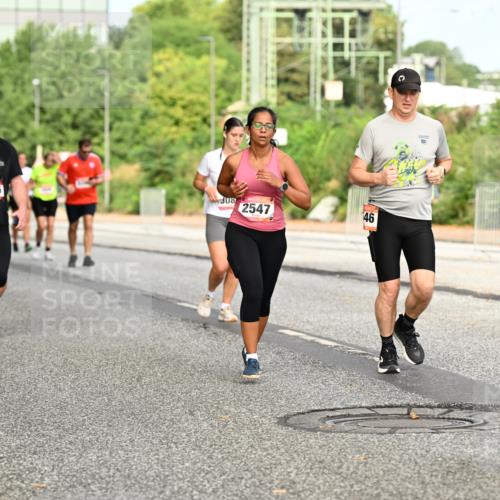 06.09.2026 - CURREX Alsterlauf Dr. Thomas Lammeyer http://msf.ph/oto/10143185 06.09.2026 10:13:27 Laufen 2795, 308, 2547, 146, 10 meine-sportfotos.de