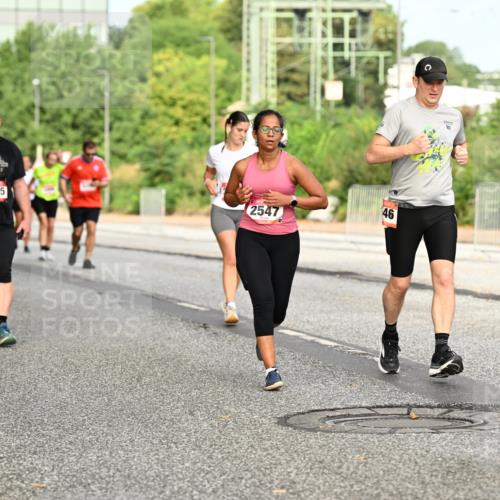 06.09.2026 - CURREX Alsterlauf Dr. Thomas Lammeyer http://msf.ph/oto/10143186 06.09.2026 10:13:28 Laufen 2795, 2547, 46, 10 meine-sportfotos.de