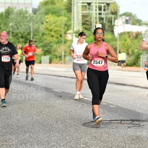 06.09.2026 - CURREX Alsterlauf Dr. Thomas Lammeyer http://msf.ph/oto/10143193 06.09.2026 10:13:28 Laufen 2795, 3083, 2547, 46, 10 meine-sportfotos.de