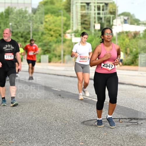 06.09.2026 - CURREX Alsterlauf Dr. Thomas Lammeyer http://msf.ph/oto/10143195 06.09.2026 10:13:29 Laufen 2795, 3083, 2547, 46 meine-sportfotos.de