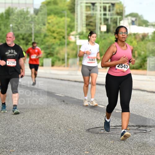 06.09.2026 - CURREX Alsterlauf Dr. Thomas Lammeyer http://msf.ph/oto/10143197 06.09.2026 10:13:29 Laufen 3083, 2795, 2547, 46 meine-sportfotos.de