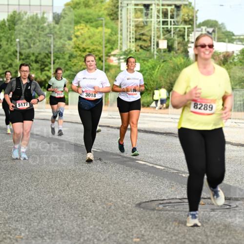 06.09.2026 - CURREX Alsterlauf Dr. Thomas Lammeyer http://msf.ph/oto/10143254 06.09.2026 10:13:37 Laufen 2920, 186, 2021, 3018, 5177, 8289 meine-sportfotos.de
