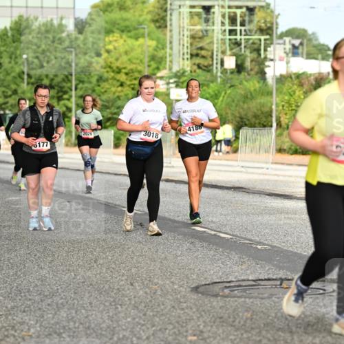 06.09.2026 - CURREX Alsterlauf Dr. Thomas Lammeyer http://msf.ph/oto/10143258 06.09.2026 10:13:38 Laufen 2920, 1, 2026, 5177, 3018, 4186, 289 meine-sportfotos.de