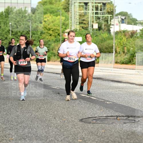 06.09.2026 - CURREX Alsterlauf Dr. Thomas Lammeyer http://msf.ph/oto/10143264 06.09.2026 10:13:38 Laufen 2920, 82, 5177, 2026, 3018, 18 meine-sportfotos.de