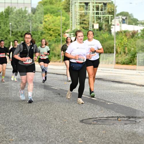 06.09.2026 - CURREX Alsterlauf Dr. Thomas Lammeyer http://msf.ph/oto/10143267 06.09.2026 10:13:38 Laufen 2208, 2920, 186, 2026, 177, 3018 meine-sportfotos.de