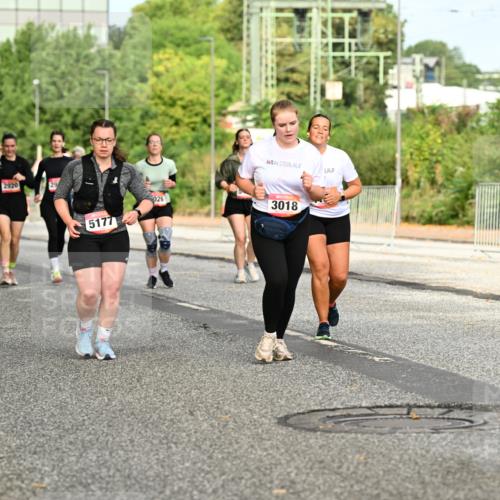 06.09.2026 - CURREX Alsterlauf Dr. Thomas Lammeyer http://msf.ph/oto/10143268 06.09.2026 10:13:39 Laufen 2920, 5177, 026, 3018 meine-sportfotos.de