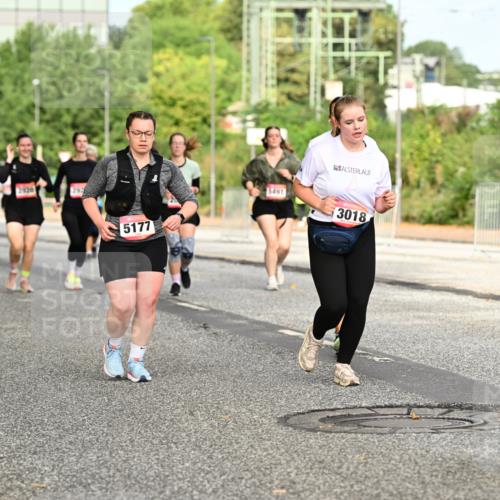 06.09.2026 - CURREX Alsterlauf Dr. Thomas Lammeyer http://msf.ph/oto/10143273 06.09.2026 10:13:39 Laufen 2920, 5177, 5491, 3018 meine-sportfotos.de