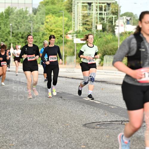 06.09.2026 - CURREX Alsterlauf Dr. Thomas Lammeyer http://msf.ph/oto/10143296 06.09.2026 10:13:42 Laufen 2208, 2920, 2209, 2928, 202, 177, 186 meine-sportfotos.de