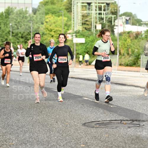 06.09.2026 - CURREX Alsterlauf Dr. Thomas Lammeyer http://msf.ph/oto/10143303 06.09.2026 10:13:42 Laufen 2920, 2209, 2928, 2026, 491 meine-sportfotos.de