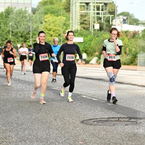 06.09.2026 - CURREX Alsterlauf Dr. Thomas Lammeyer http://msf.ph/oto/10143307 06.09.2026 10:13:43 Laufen 220, 2920, 2209, 2928, 2026, 5491 meine-sportfotos.de
