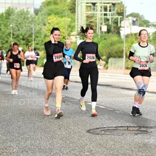06.09.2026 - CURREX Alsterlauf Dr. Thomas Lammeyer http://msf.ph/oto/10143309 06.09.2026 10:13:44 Laufen 2208, 220, 2920, 2928, 2026 meine-sportfotos.de