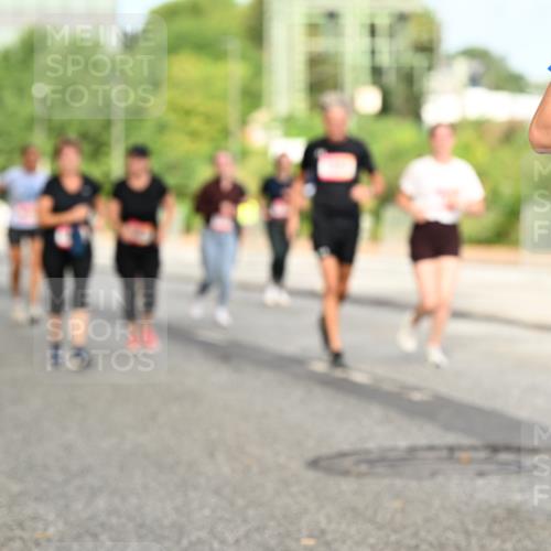 06.09.2026 - CURREX Alsterlauf Dr. Thomas Lammeyer http://msf.ph/oto/10143379 06.09.2026 10:13:51 Laufen  meine-sportfotos.de